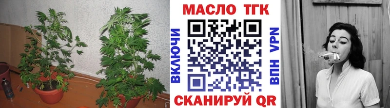 наркошоп  Порхов  даркнет клад  ТГК вейп  блэк спрут как зайти 
