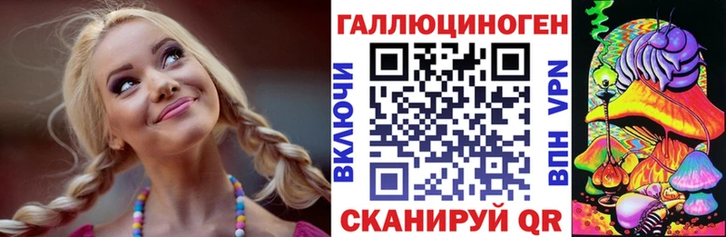как найти закладки  Порхов  Галлюциногенные грибы мицелий 